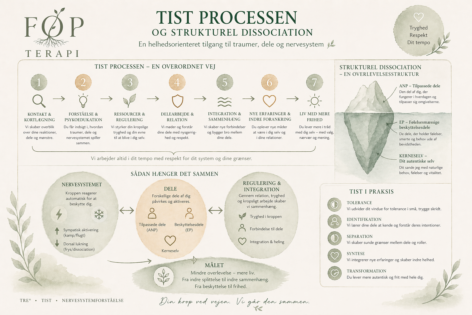 Illustration af TIST-processen, strukturel dissociation og samspillet mellem nervesystem, indre dele og regulering.
